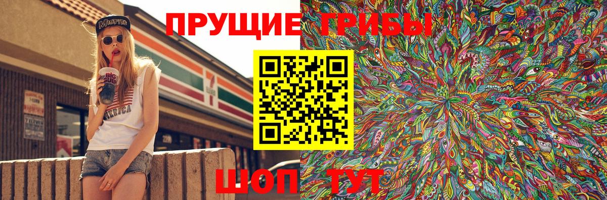 Псилоцибиновые грибы Psilocybe  Вход с VPN  Нижний Новгород  Галлюциногенные грибы GOLDEN TEACHER 